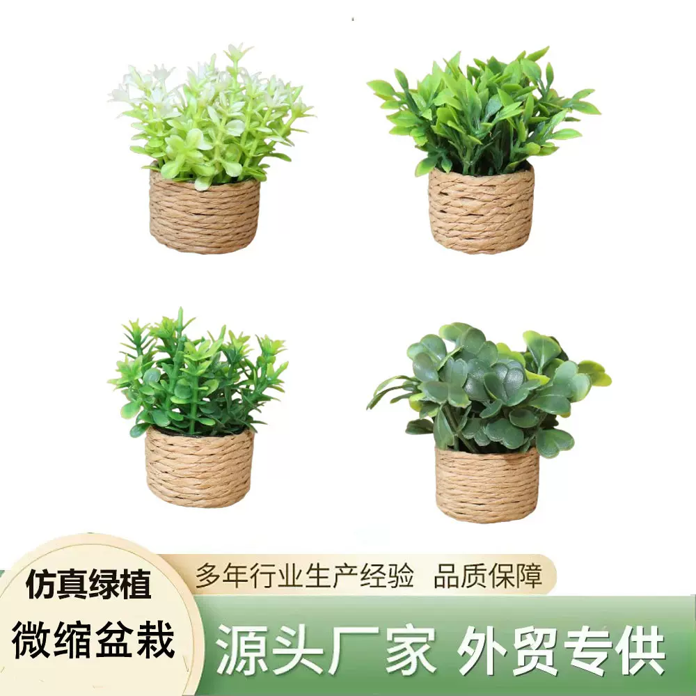 娃娃屋仿真植物家居装饰绿植摆件微景观塑料水草蕨类绿叶小盆栽