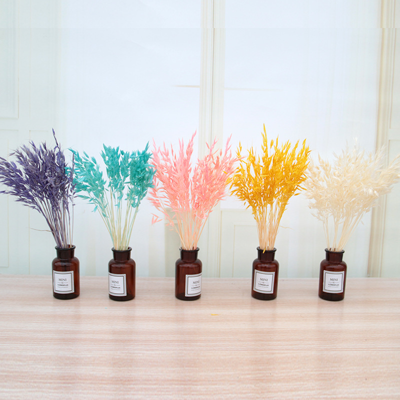 熱賣燕麥乾花花束 永生花diy相框結婚禮物家居裝飾擺件情人節聖誕