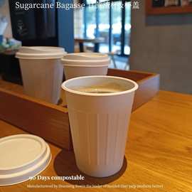一次性奶茶咖啡杯纸浆杯盖可全降解甘蔗热饮料8oz10盎司环保纸杯