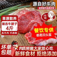 彤姐牛肉原切牛腱子4斤装新鲜牛肉炖煮烤肉火锅冷冻食材批发零售