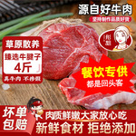 彤姐牛肉原切牛腱子4斤装新鲜牛肉炖煮烤肉火锅冷冻食材批发零售