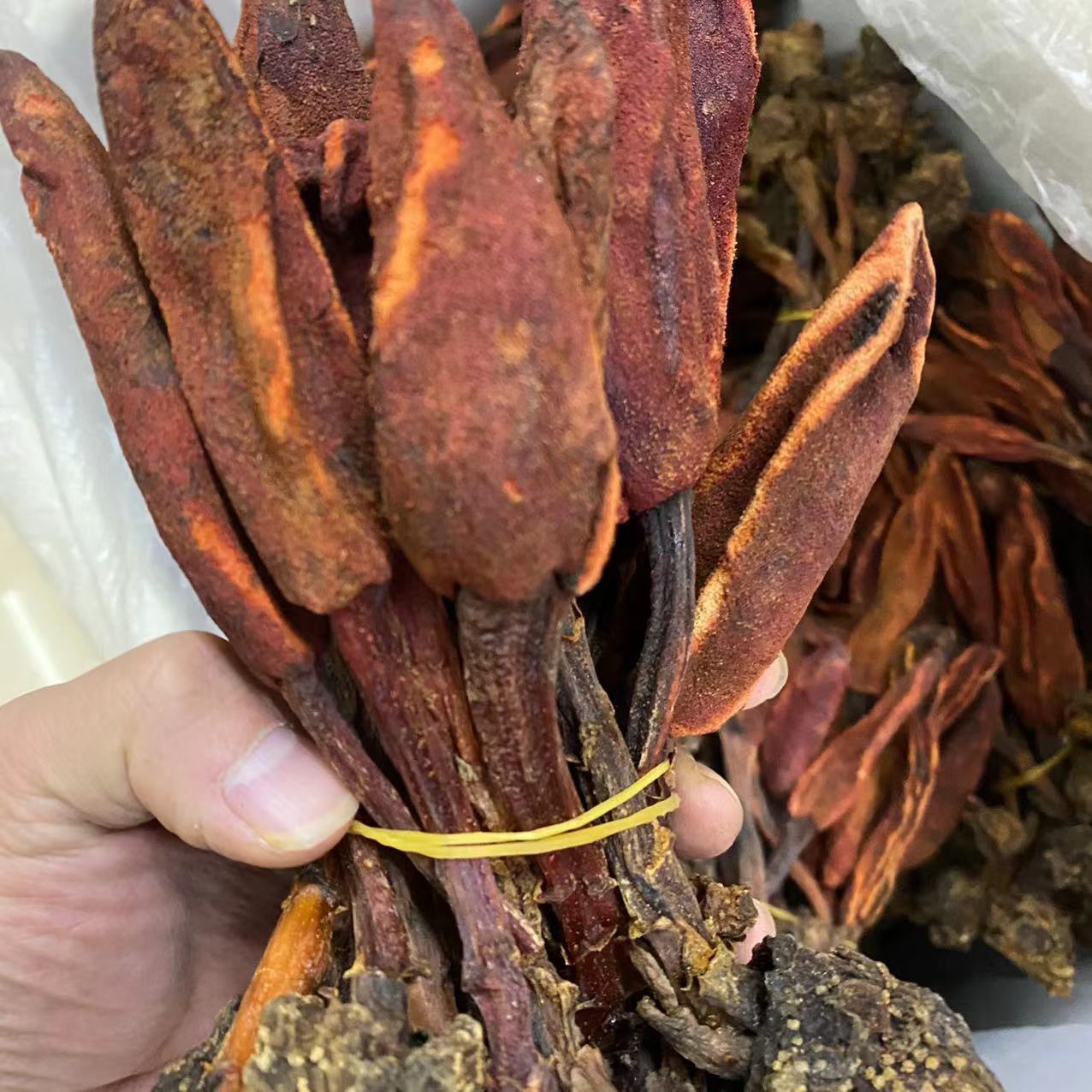云南回春草中药材草苁蓉整颗无碎不老草顶天柱泡酒料包批发代发-阿里巴巴
