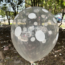 ���l12��2.8g�����Ɍ���䁻�ӹ��c�c���b�͸����ɫ��ɫ���c����