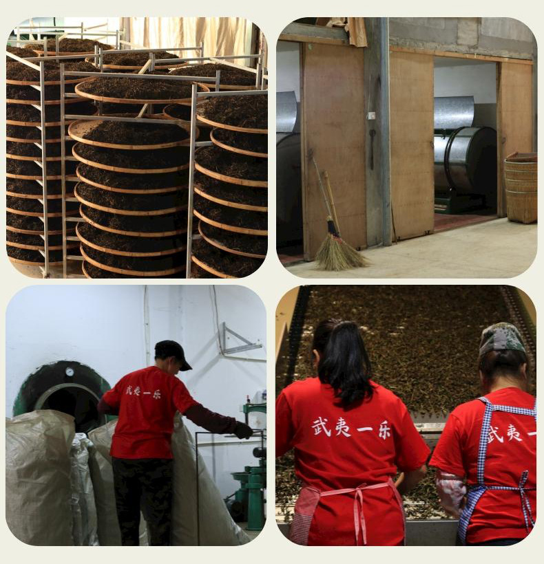 副本_副本_浓香正山小种__2022-10-31+16_20