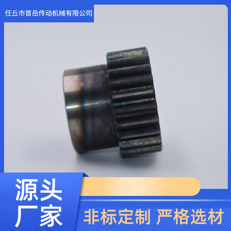 厂家供应 非标制定大模数齿轮链轮 转动机械齿轮 不锈钢齿轮