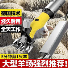 厂家批发大功率电动羊毛剪羊毛电推子羊毛剪刀多功能动物羊毛剪子