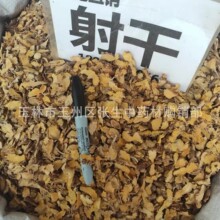 中药材射干 射干片 别名乌扇 乌蒲 黄远 草姜 扁竹 散装500克
