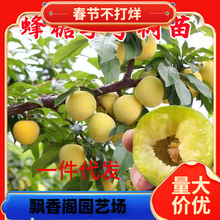 ���ڷ������Ә����F��Ó�����Ә��������Ϸ������������Ԯ���Y��