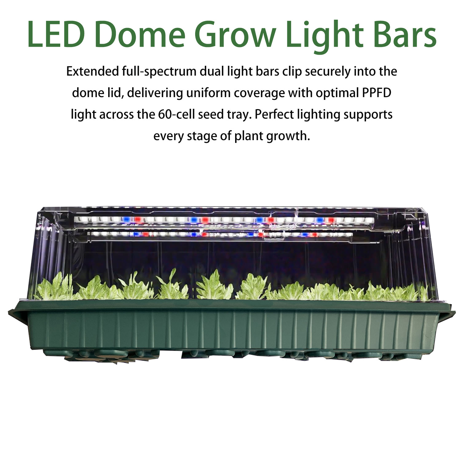 30f8adc7c289717b0252ff92fd200e