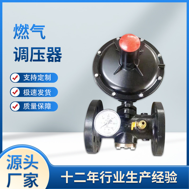 荐RTZ-31(21)中压入户减压阀表前燃气调压器燃气减压阀家用燃气表