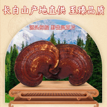 `֥Ƭ500gLɽ`֥ҰƬ֥ݾ`֥