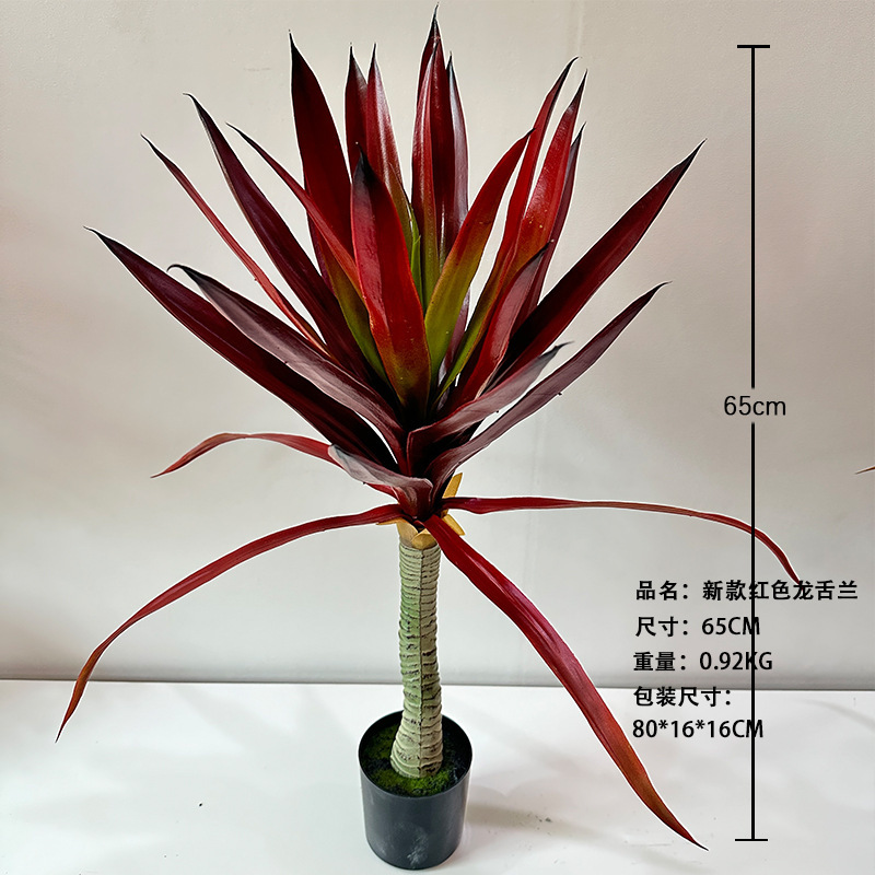 Nuevo agave rojo de 65 cm