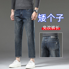 2024�ﶬ����С���Ӿŷ�ţ��ѝ��ʿ����ֱͲ�ٴ����e���� 9��ѝ��