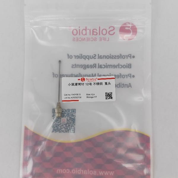 小鼠灌胃针12号 不锈钢  Solarbio YA0190-C  弯头 直头（小头）