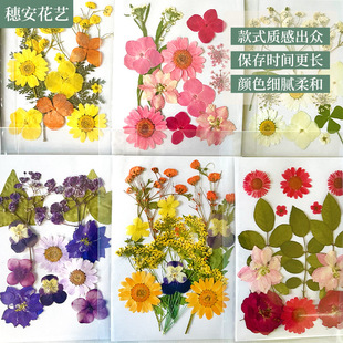 Carefully Selected Dried Flower Embossed DIY Material Package Internet Celebrity Ins Face Manicure Glue Embossed Family Handmade Activity Flower Bag