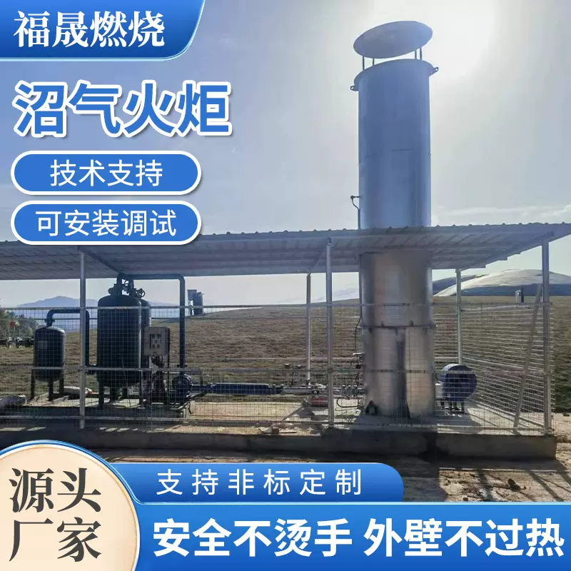 垃圾填埋场沼气火炬内燃式不锈钢燃烧火炬养殖场废气处理成套设备