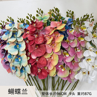 �����m���滨�ֹ���Ʒ�ٻ���Y�b�Ʒ���ߔzӰ�[�������m�ٻ����l