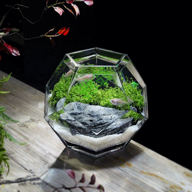 Yut Настольный аквариум Тропический аквариум Домашний высокопрозрачный декоративный стеклянный аквариум с гидропонной вазой