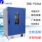 上海DGG-9246A数显恒温鼓风干燥箱 温度可调医院用立式烘干箱图片