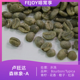 25���R���_ɭ����A ˮϴ�������������FƤ�� ����|����|����|�t��