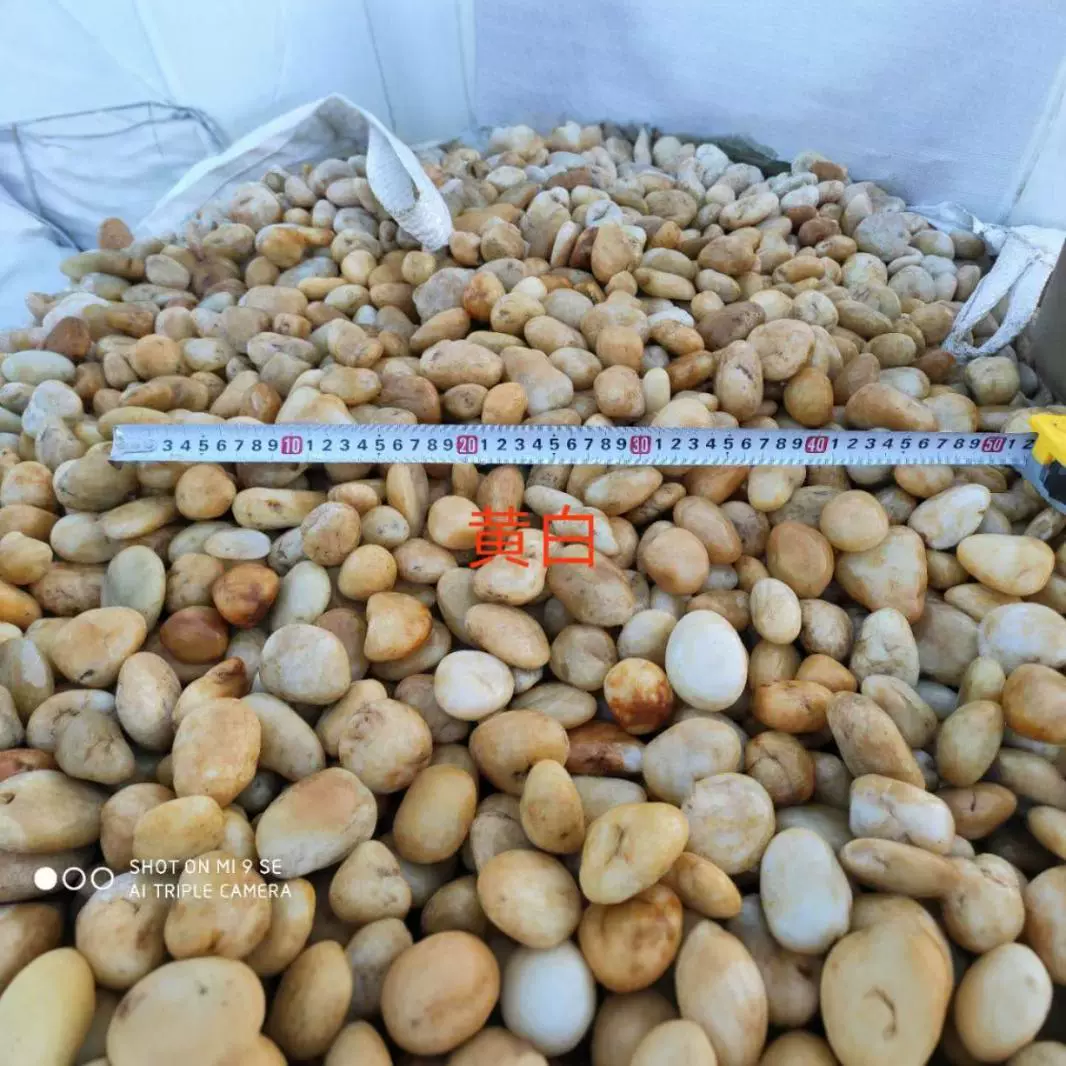 Источник поставляет желтый галечный сухой пейзаж украшен ландшафтным декором