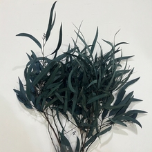 永生花小米果叶叶桉树叶吸色保鲜拍摄道具装饰花卉吸色永生花