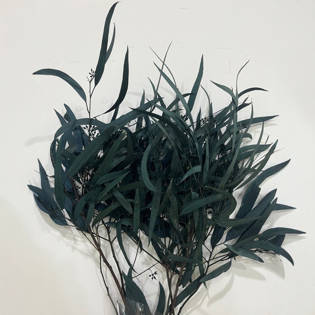 永生花小米果叶叶桉树叶吸色保鲜拍摄道具装饰花卉吸色永生花