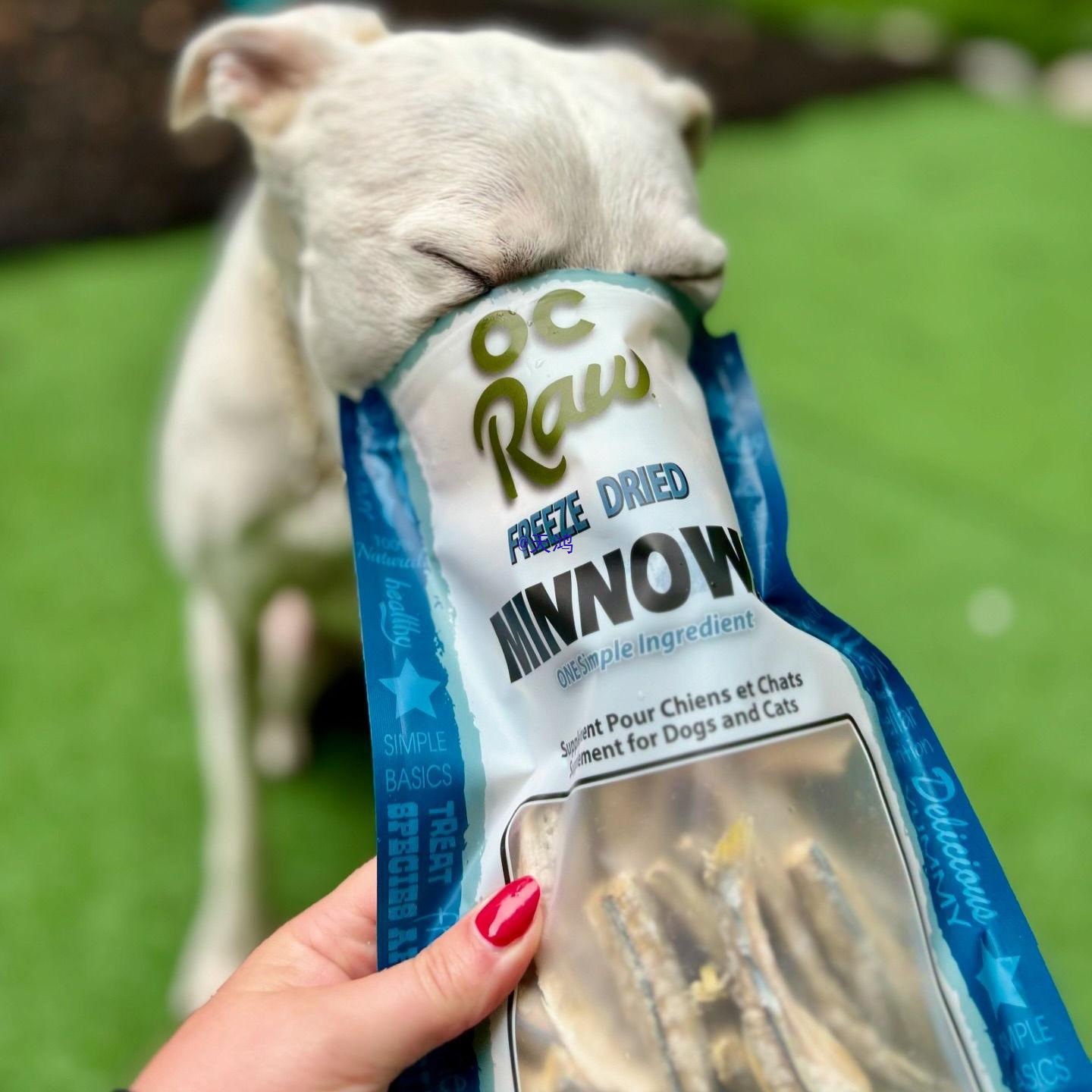 新到货！ 单一成分冻干猫狗零食 米诺鱼 三文鱼 马哈鱼