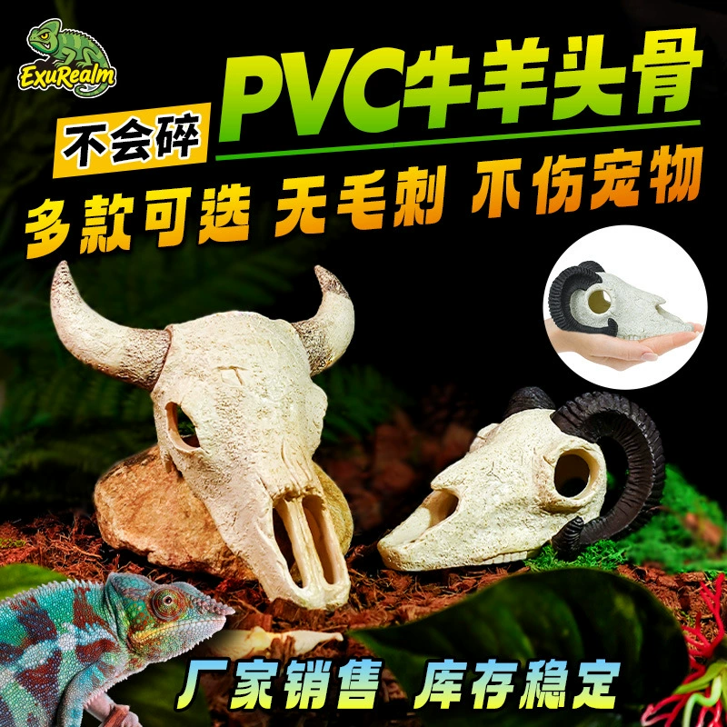 Акриловый террариум для разведения рептилий, ландшафтный дизайн: череп носорога, череп овцы, череп паука, скорпион, ящерица, геккон, экзотические питомцы