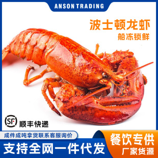 �������ô������ʿ�D���r�������r�����rʳ�ĺ��r���l���r���