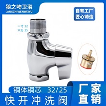 快开冲水阀厕所阀门蹲便器延迟延时阀6分1寸大便冲水器快开冲洗阀