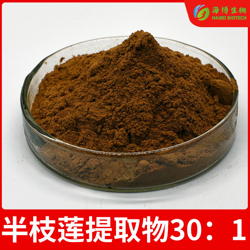 半枝莲提取物30：1 半枝莲提取物 半枝莲粉 海博生物  量大从优