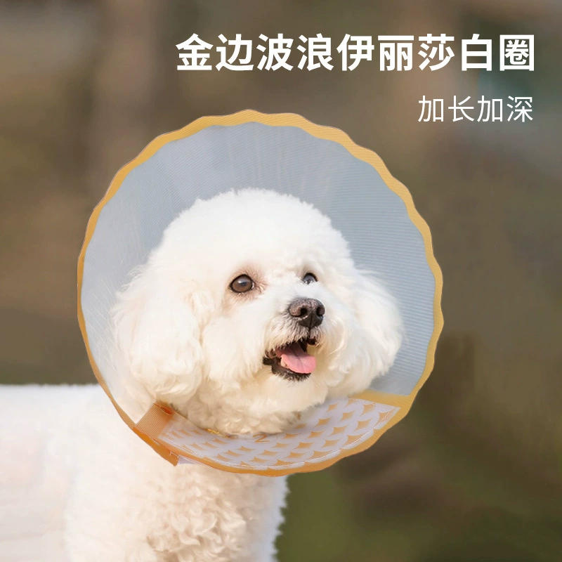 Элизабетанский ошейник с золотым краем и волнистым краем для кошек и собак, послеоперационный дышащий защитный ошейник против укусов и вылизывания, красивый ошейник