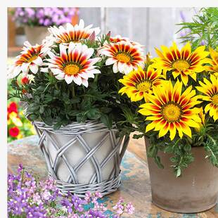 ���¾ջ��N�ӻ��N�ļ��_���׷N�������N�����҃��̨��������ֲ��