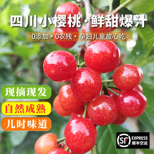 �Ĵ�܇����С�������rˮ���ЋD������֦�������خa����������؃�