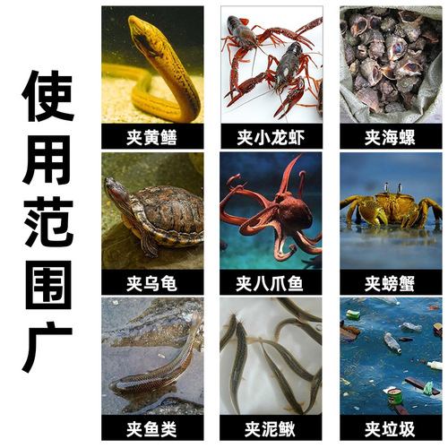 Stainless steel eel clip, a special tool for catching crabs and lobsters, is a non-slip and anti-falling eel clip.