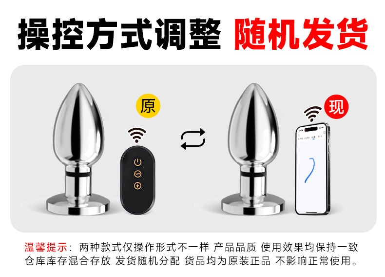 Mystery Lady Metal Electric Shock Anal Plug, Silver, Unisex Adult Anal Training Device — detail image 2