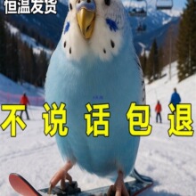 �W�^���B���fԒ���^��Ƥ�W�^���B�������B���wС�B���P�����^�p