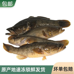 ʮ���|�����^�~�������_���~���r 1500��ɽ���^�r���ك�3�� ԭ