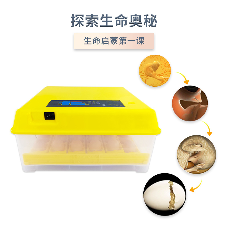 Nuevo 36 huevos incubadora automática pequeño termostato doméstico paloma codorniz pájaro huevo incubadora inteligente