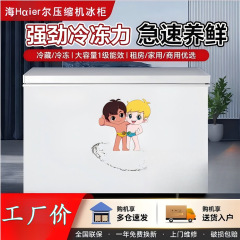 小神童冷凍庫小型冷凍庫家庭用冷凍冷蔵ミニ大容量温調借家双温寮省電力