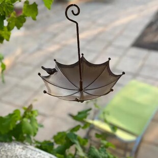 �wBird Feeder Tro�羳����ι�B�����@ͥԺ������ٹ�ˇƷ