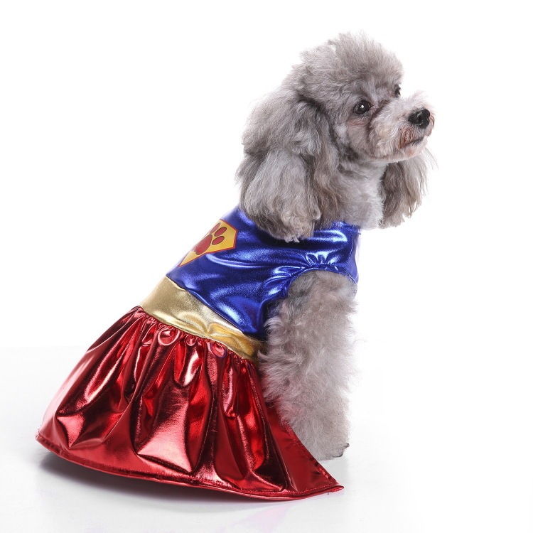 爆金犬ハロウィーンは服装をしている祝日を祝って、高強マジックはしわに強いペット服装をしている|undefined