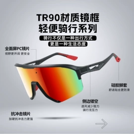 框架眼镜;太阳镜;眼镜片