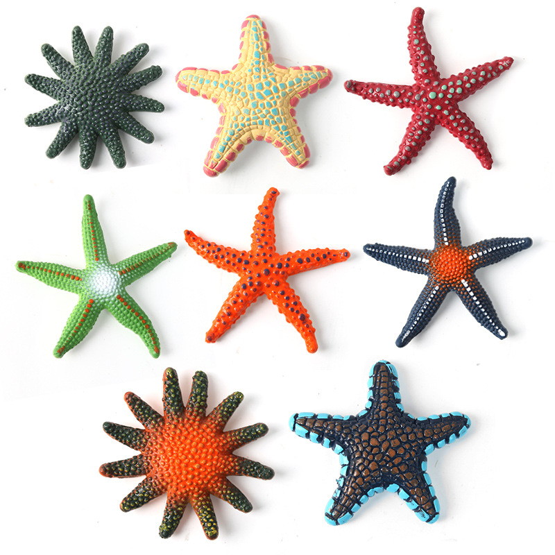 8 ensembles d'étoiles de mer