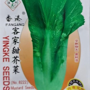 ��˷N���ļ�������ѷN�Ϸ����˷N�Ӵ����w�˷N���r���߲��׷N