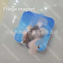 【T8】磁吸音乐盒冰箱贴DIY图片声音干电池USB多种充电方式可选