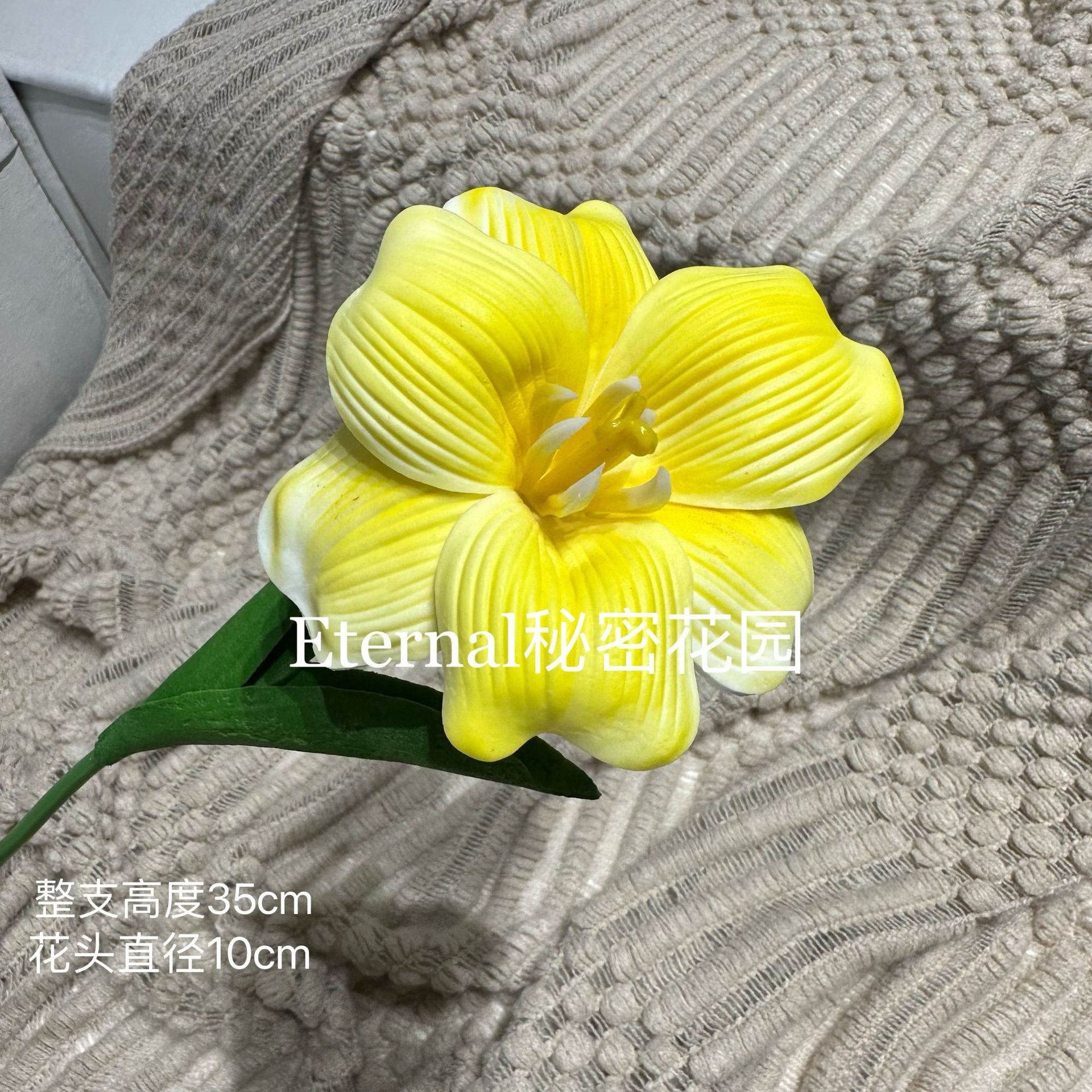 Pu tulipán amarillo (con su propia fragancia)