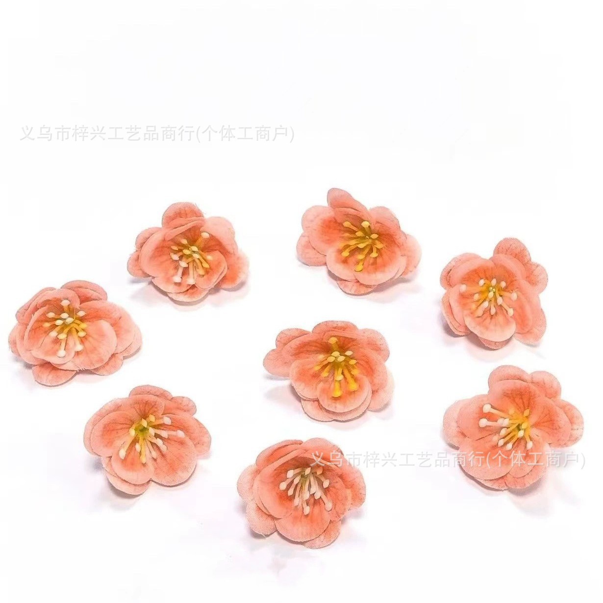 7-샴페인