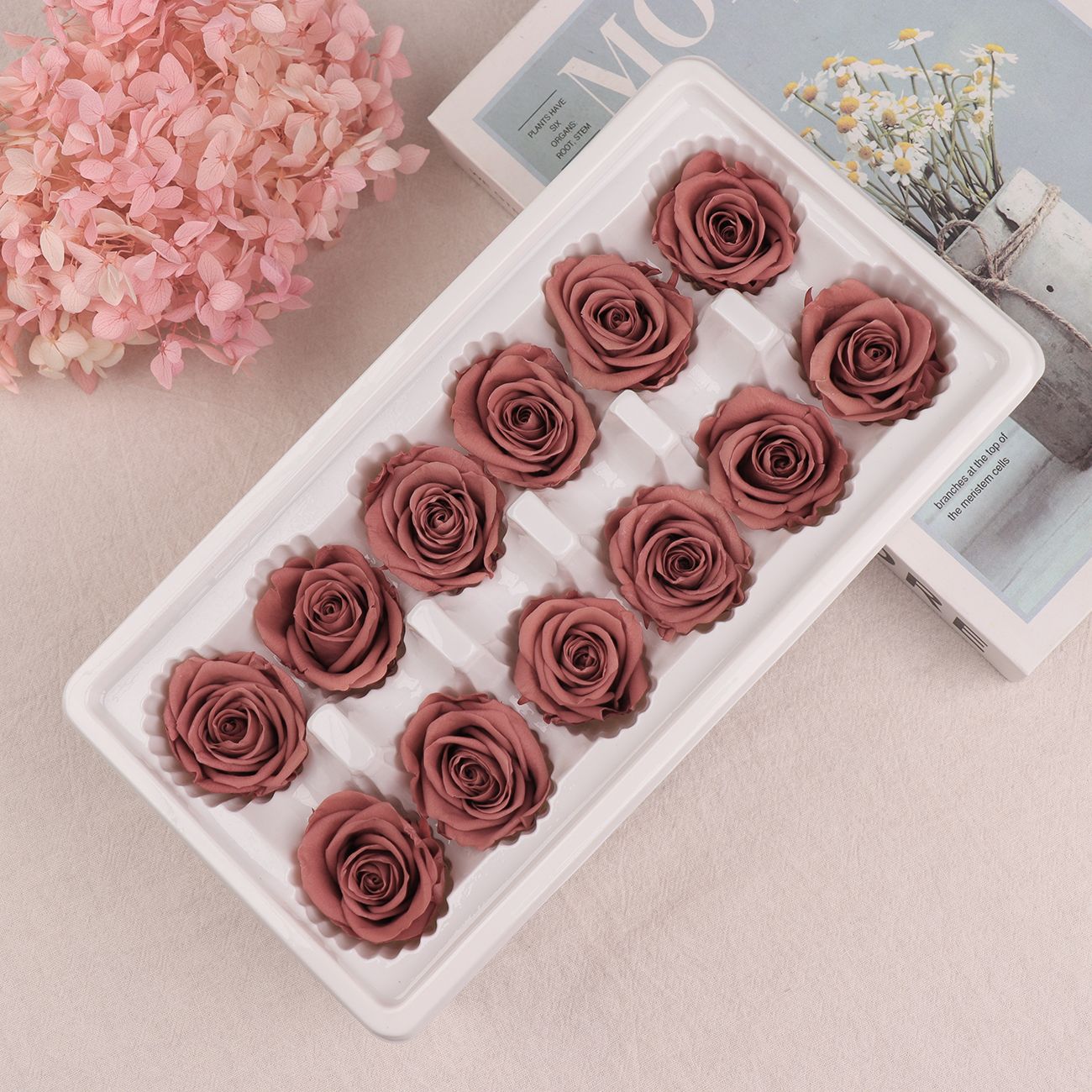 Cabezas de Rosa Eternas A+, 3-4 cm, 12 Piezas, Materiales para Manualidades Florales, Caja de Regalo, Fabricante, Venta al por Mayor